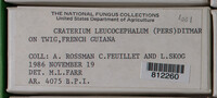 Image Associated With the Occurence